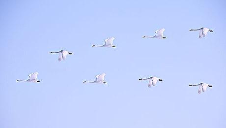 《地狱之刃2》新开发视频展示面部捕捉系统效果